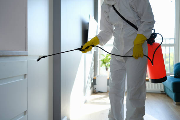 Best Mold Remediation  in Gillett, WI